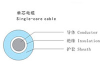 额定电压0.6/1kv铜芯塑料绝缘预制分支电缆
